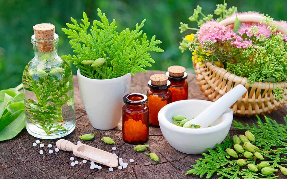 Home_naturopatia Home_naturopatia